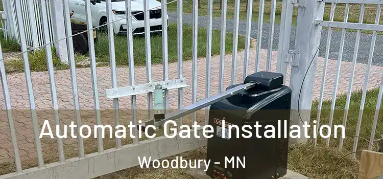 Automatic Gate Installation Woodbury - MN