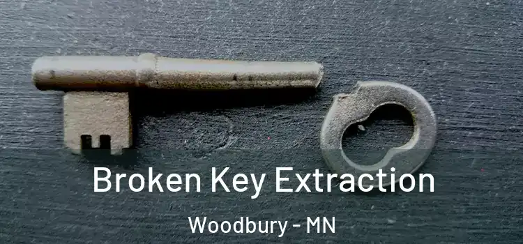 Broken Key Extraction Woodbury - MN