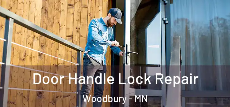 Door Handle Lock Repair Woodbury - MN