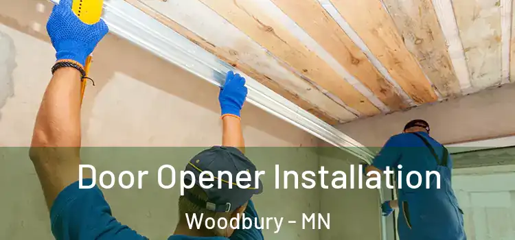 Door Opener Installation Woodbury - MN