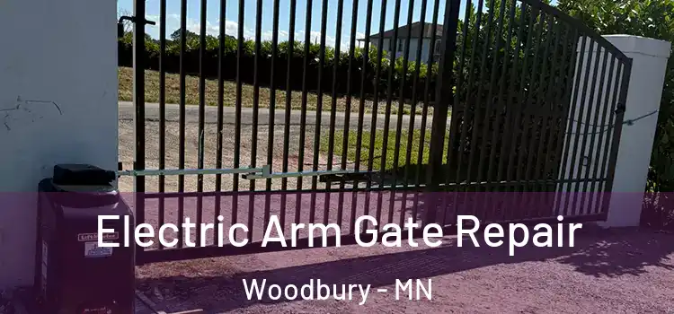 Electric Arm Gate Repair Woodbury - MN