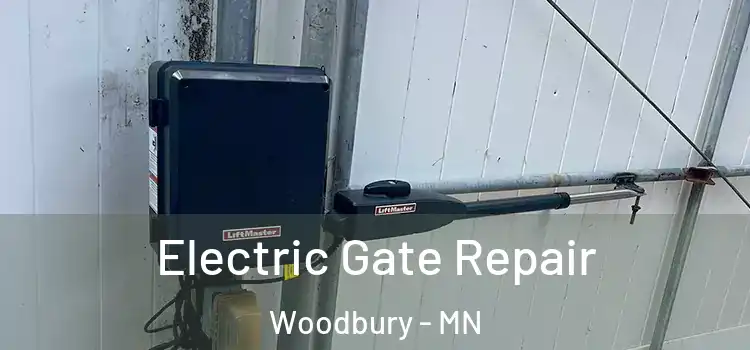 Electric Gate Repair Woodbury - MN