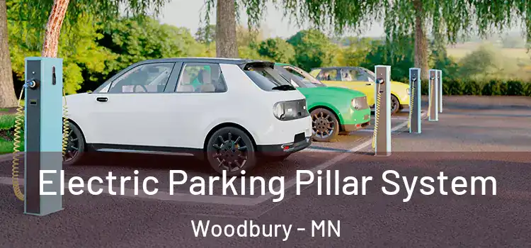 Electric Parking Pillar System Woodbury - MN