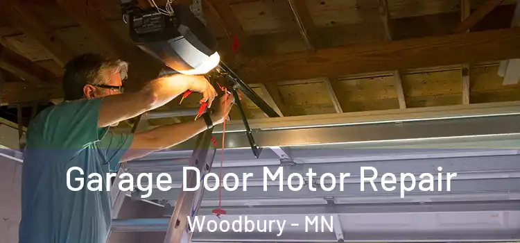  Garage Door Motor Repair Woodbury - MN