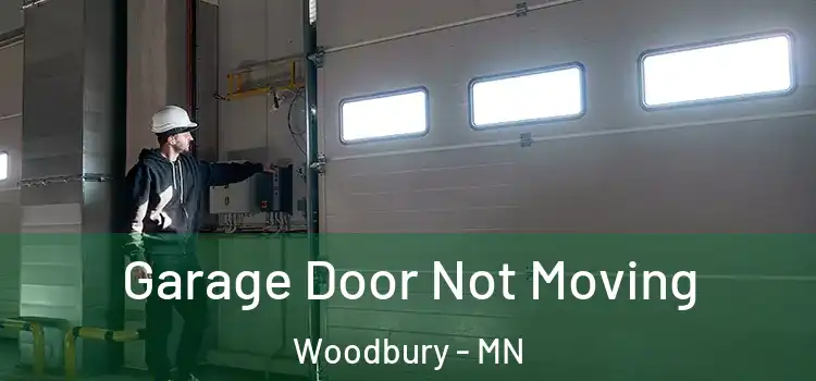  Garage Door Not Moving Woodbury - MN