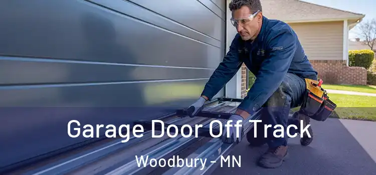  Garage Door Off Track Woodbury - MN