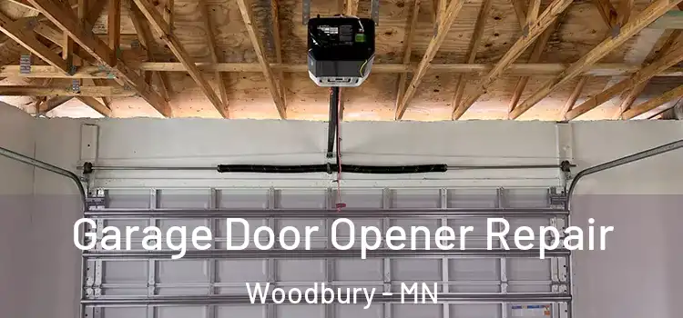  Garage Door Opener Repair Woodbury - MN