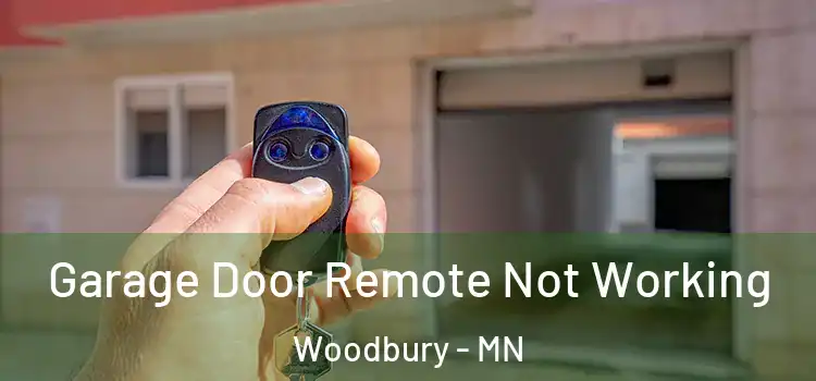  Garage Door Remote Not Working Woodbury - MN