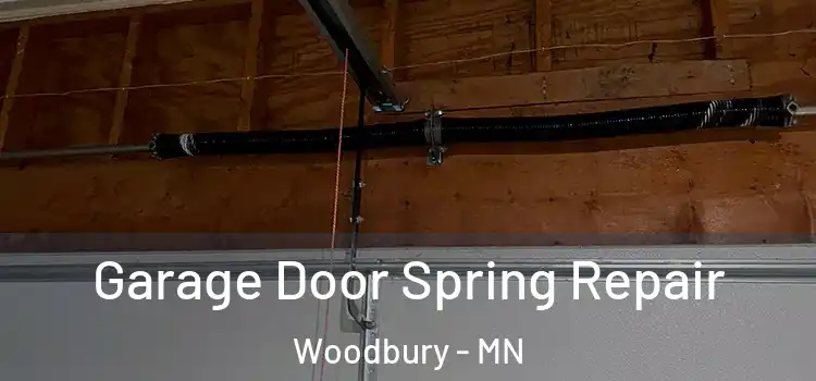  Garage Door Spring Repair Woodbury - MN