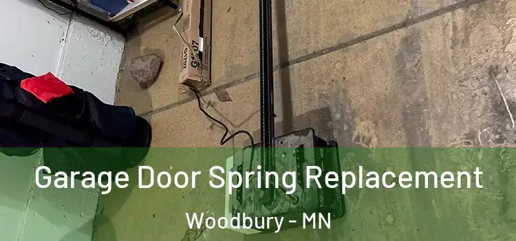  Garage Door Spring Replacement Woodbury - MN