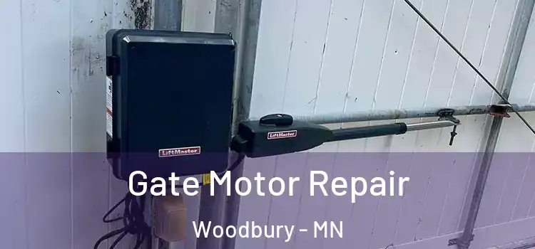 Gate Motor Repair Woodbury - MN