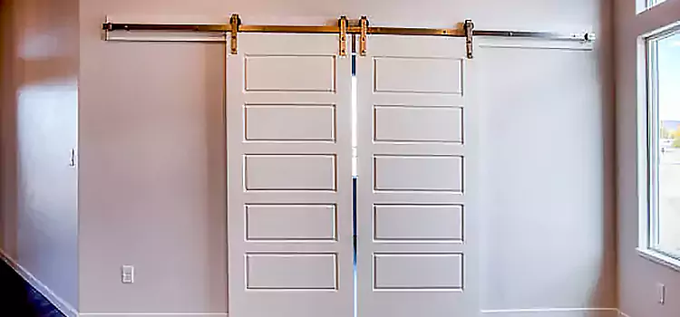 Glass Barn Door with Installation Hardware Kit Woodbury