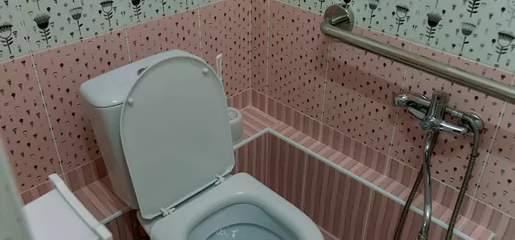 Meeting Diverse Needs With Accessible Restroom Solutions in Woodbury, MN