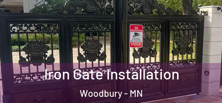 Iron Gate Installation Woodbury - MN