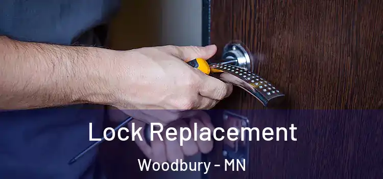 Lock Replacement Woodbury - MN