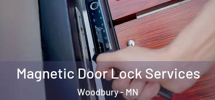 Magnetic Door Lock Services Woodbury - MN