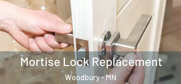  Mortise Lock Replacement Woodbury - MN