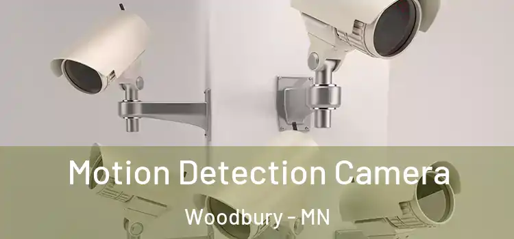  Motion Detection Camera Woodbury - MN