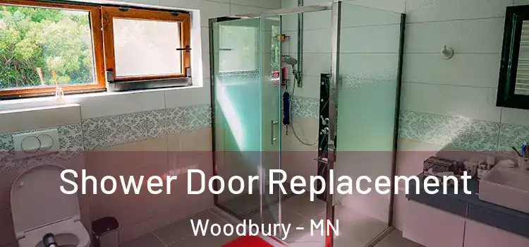 Shower Door Replacement Woodbury - MN