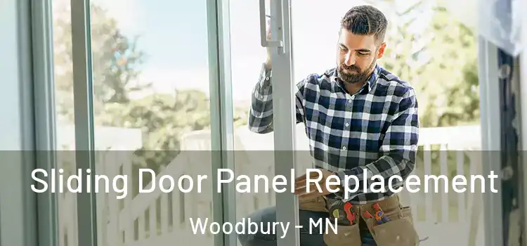  Sliding Door Panel Replacement Woodbury - MN