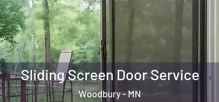 Sliding Screen Door Service Woodbury - MN