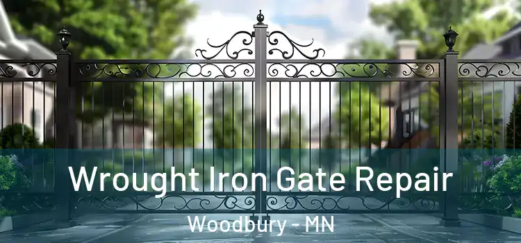 Wrought Iron Gate Repair Woodbury - MN